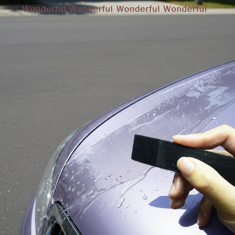 TPU Car Window Tint Scraper Sq - Flexible Tpu Film のレビューと価格